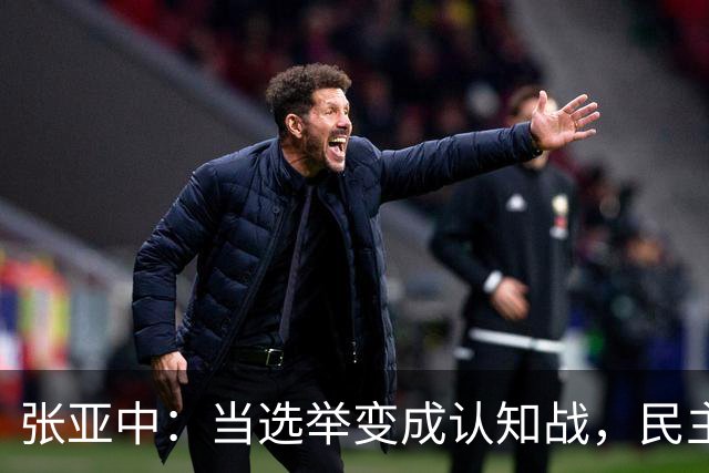 张亚中：当选举变成认知战，民主还有意义吗